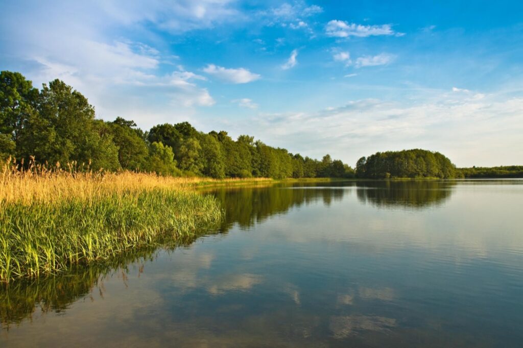 Pierwszym krokiem przy planowaniu budowy domu na zakupionej działce jest ustalenie warunków zabudowy dla danego terenu